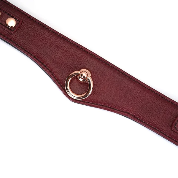 Wine Red Deluxe Curved Collar with Chain Leash and Lock — image 3 of 8