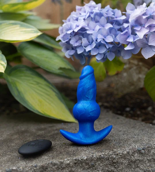 Wereknot EZ-Sized Vibrating Plug with Remote Control — image 6 of 22