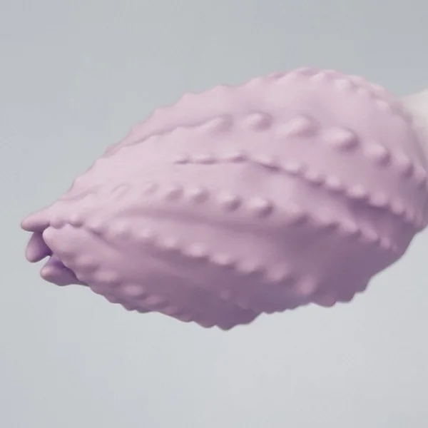 Octobooty — image 3 of 8