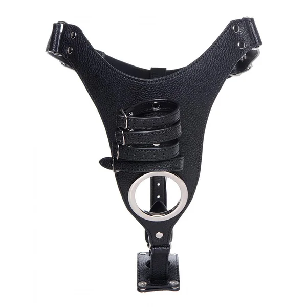 Strict Male Chastity Harness with Silicone Anal Plug — image 3 of 6