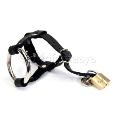 Locking cock ball harness