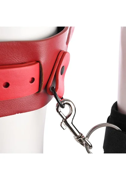 Ex's and Oh's Bound and Belted — image 6 of 9