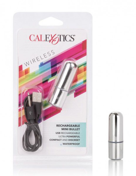 CalExotics Silver Rechargeable Mini Bullet