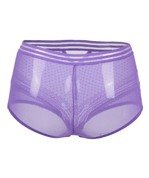 Retro mesh sexy panty