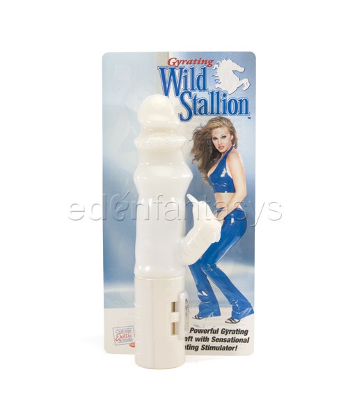 Gyrating wild stallion