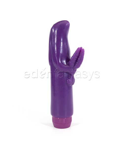 Buzz bunny