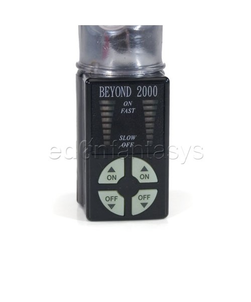 Beyond 2000 penguin