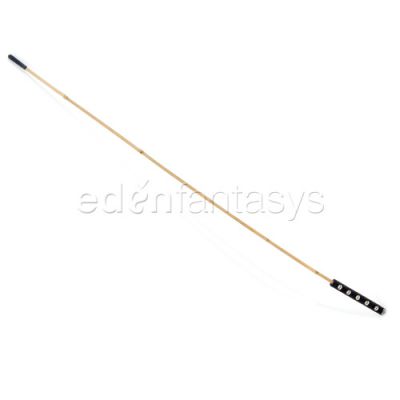 Bamboo cane