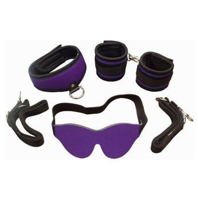 Whip Smart Discover Kit