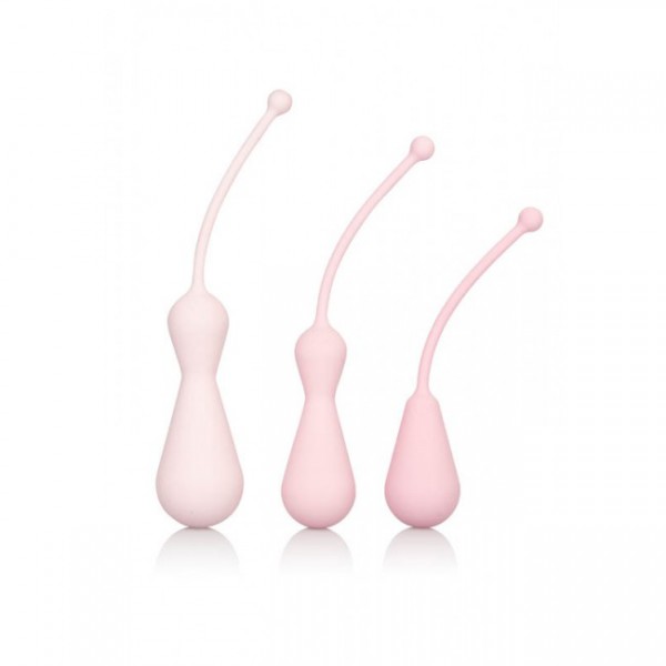 Inspire Weighted Silicone Kegel Training Kit