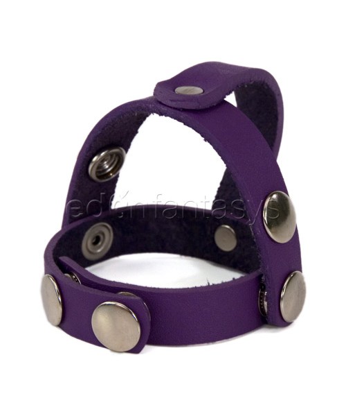 Crave T-style divider