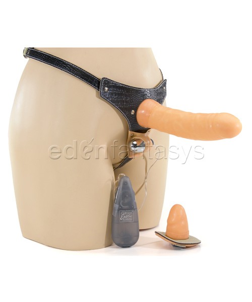 Executive harness