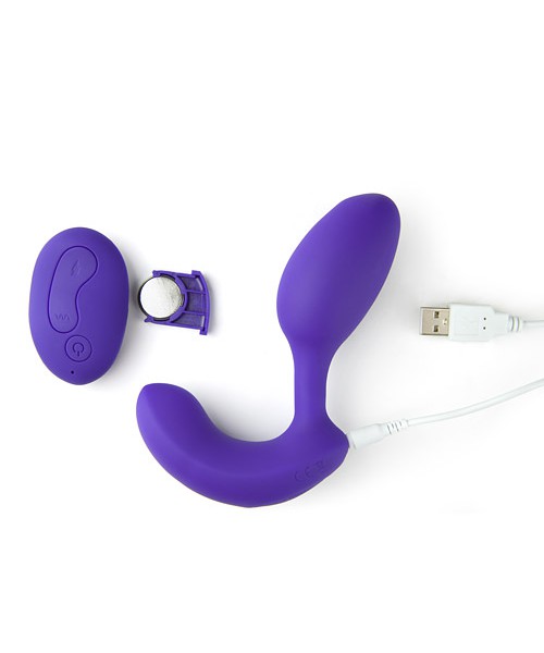 Dual igniter
