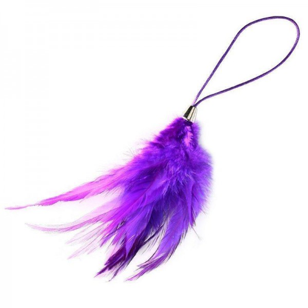 Purple Feather Tickler