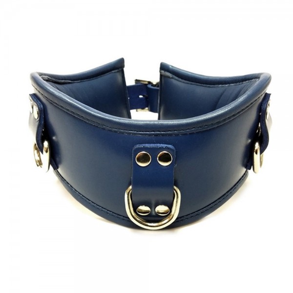 Rouge Posture Collar - Blue