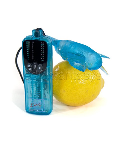 Aria's decadent lovebird