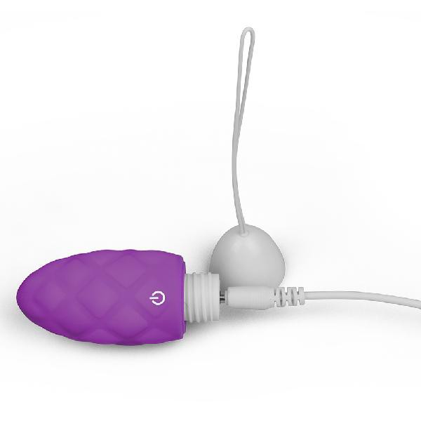IJOY Wireless Remote Control Rechargeable Egg Purple