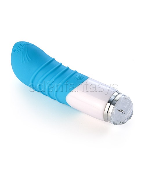 My pet vibrator