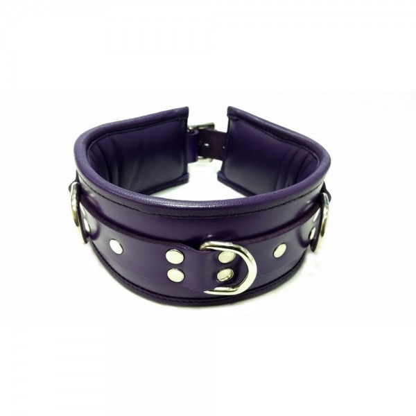 Rouge Purple Leather Padded Collar
