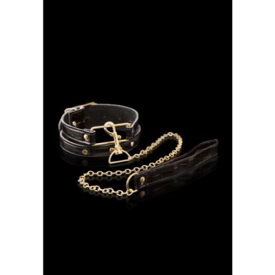 Fetish Fantasy Gold Collar Leash