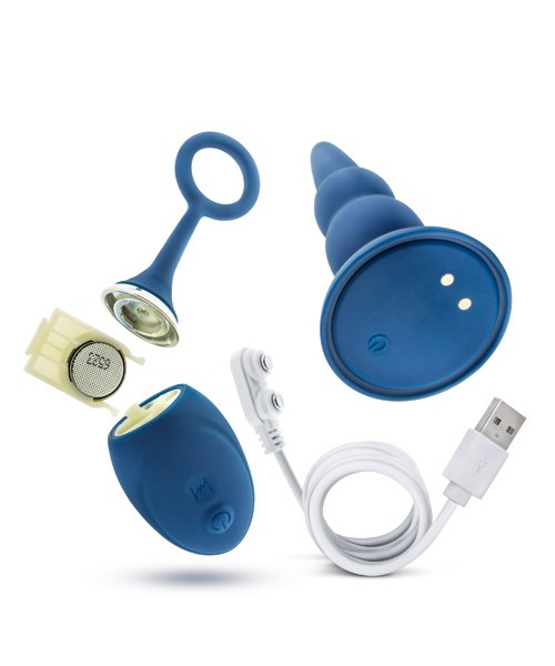 Sonic anal plug