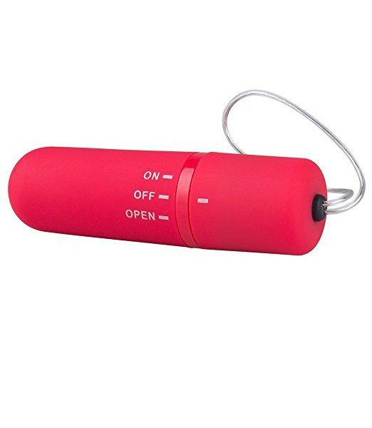 Screaming O My Secret Remote Control Vibrator