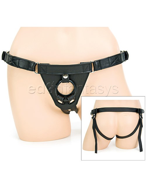Driver harness