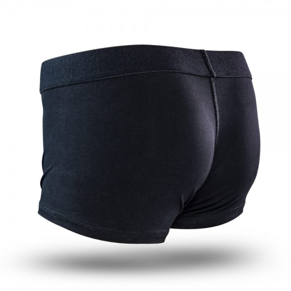 Temptasia Black Strap-On Harness Briefs