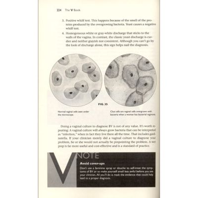 The V book