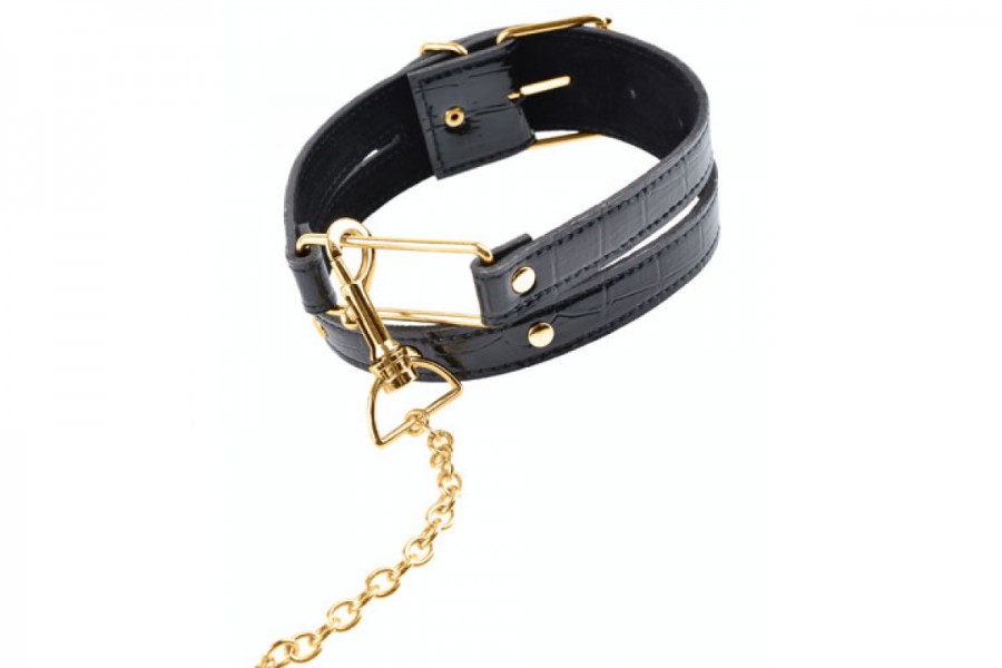 Fetish Fantasy Gold - Collar & Leash
