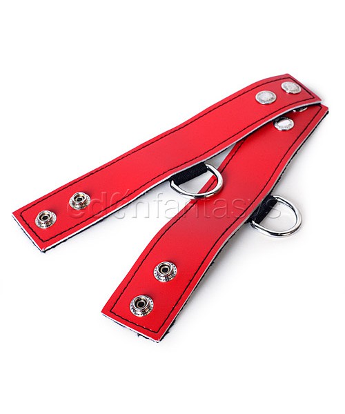 Sex and Mischief bondage kit — image 6 of 6