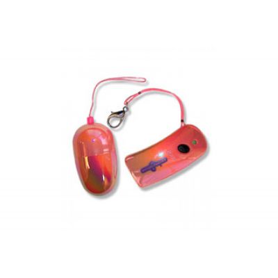Remote Controlled Egg