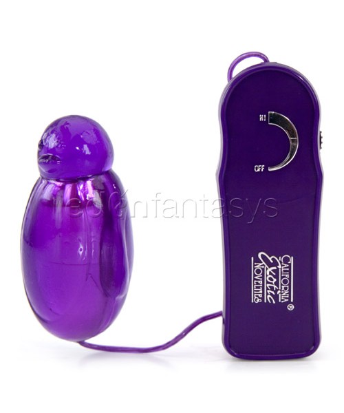 Shay's purple penguin