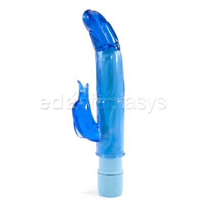 Aquarius dolphin