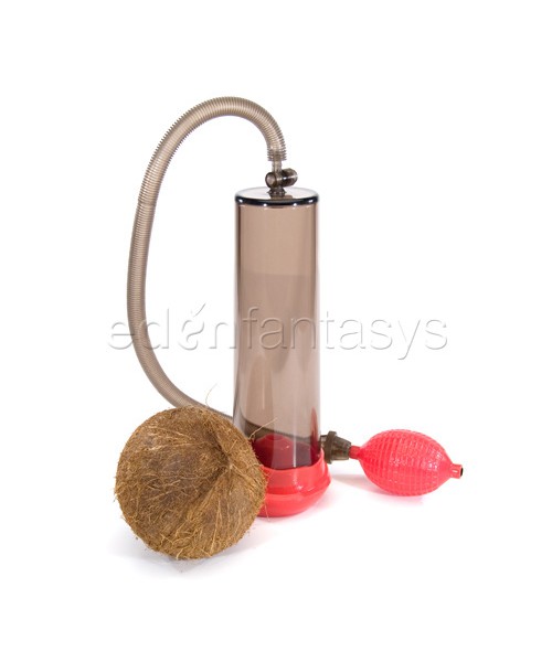 Buckshot pump