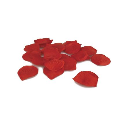 Touche Rose Petals