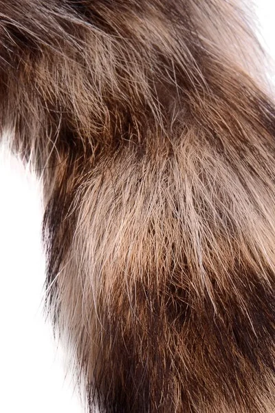 Tailz 4" Glass Anal Plug with Fluffy Fox Tail — image 9 of 10