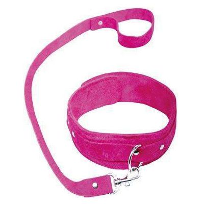 Pink Collar and Leash