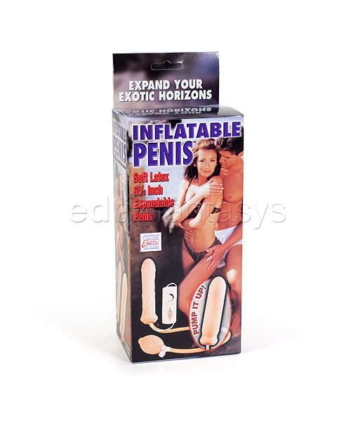Inflatable penis