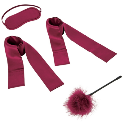 Sportsheets S M Enchanted Starter Kit