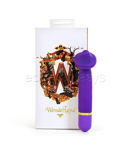 Wonderland - The mystical mushroom — image 4 of 5