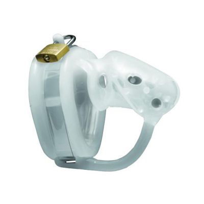 Master Series Sados Spiked Chamber Silicone Chastity Device