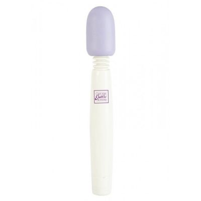 My Mini Miracle Massager Wand