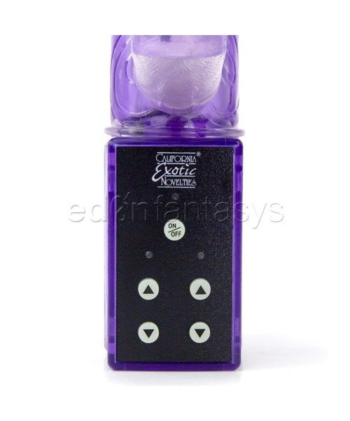 Decadent lover purple kiss