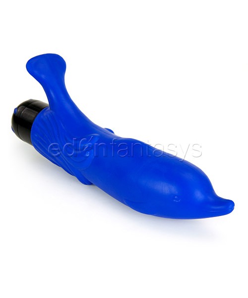 Playgirl blue dolphin