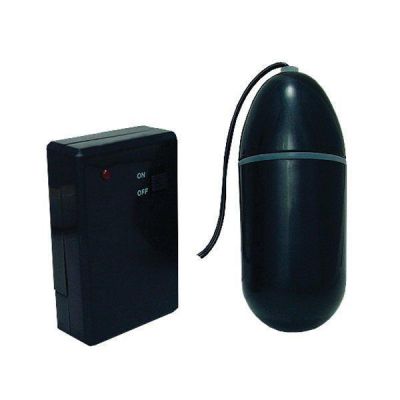 Waterproof Remote Control Bullet