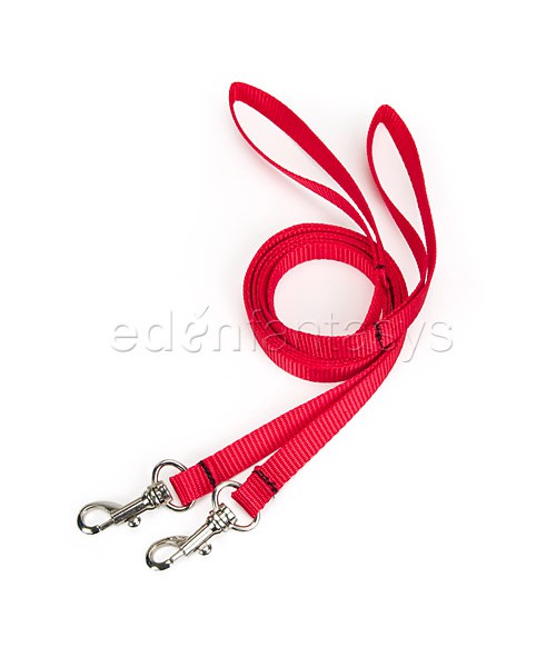 Rouge tethers & leash set