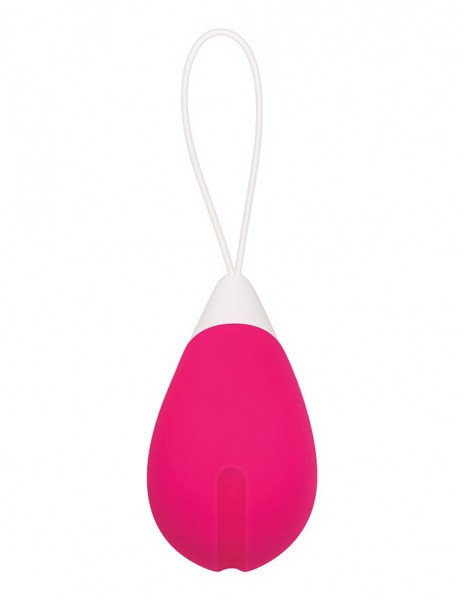 Evolved Silicone Remote Control Egg
