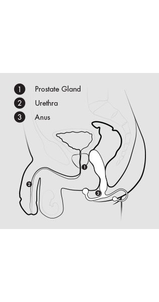 Aneros Progasm Black Ice Prostate Massager