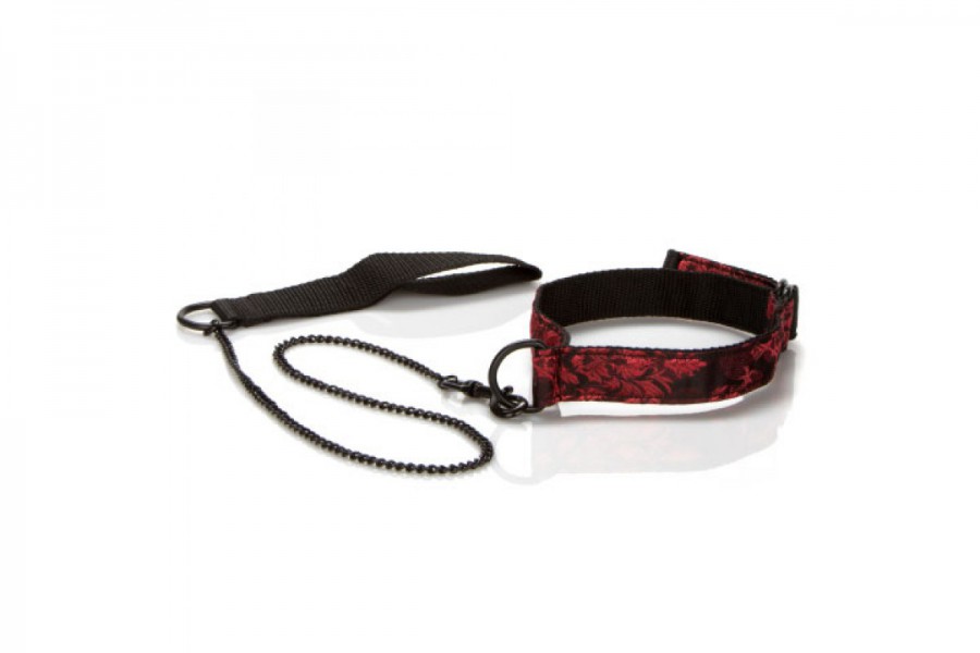 Scandal Submissive Kit